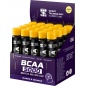 БЦАА НПО Спортивные Технологии BCAA 2500 25 мл
