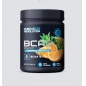 БЦАА Muscle Pro Revolution BCAA 8:1:1 340 гр