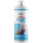 Хондропротектор Health Form Joint Formula 1000 мл