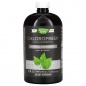Витамины Nature's Way Chlorofresh 480 мл