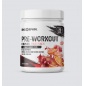 Предтренировочный комплекс ENDORPHIN Pre-Workout 375 гр