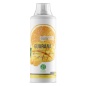 Энергетик Nature Foods Guarana Liquid 1000 мл