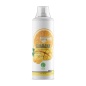 Энергетик Nature Foods Guarana liquid 500 мл