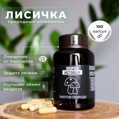 Специальный препарат Энергия Природы Лисички 100 капсул