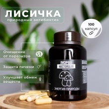 Специальный препарат Энергия Природы Лисички 100 капсул