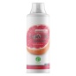Л-карнитин Nature Foods L-carnitine + Guarana Concentrate 1000 мл