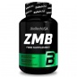 Тестобустер BioTech ZMB 60 капсул