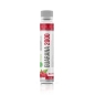 Энергетик Nature Foods Guarana 2000 мг 25 мл